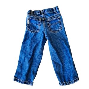 Cinch Jeans
